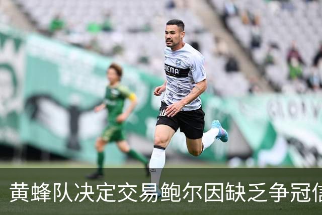 黄蜂队决定交易鲍尔因缺乏争冠信心